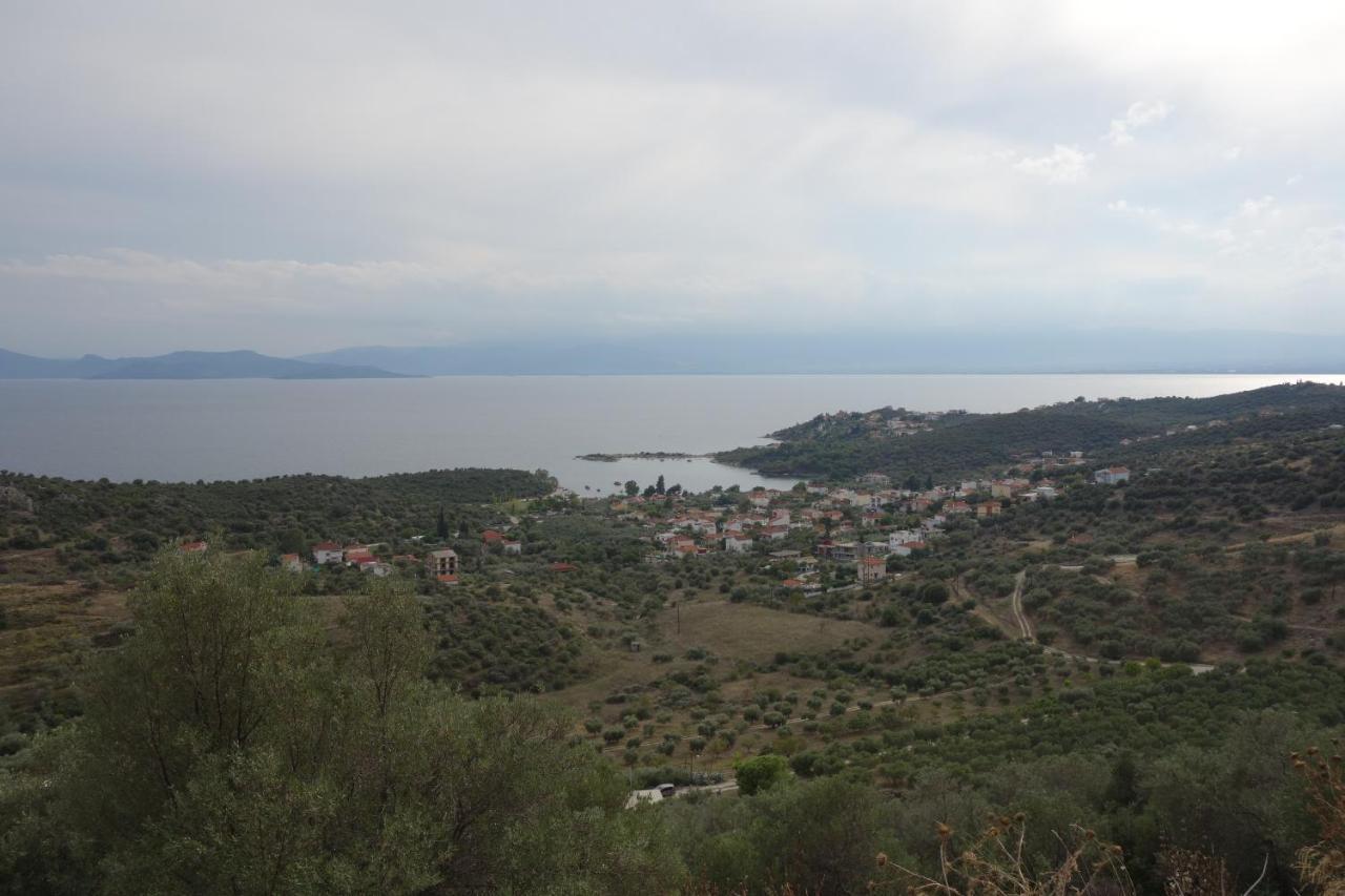 Beach Front House With View Marathos  Εξωτερικό φωτογραφία